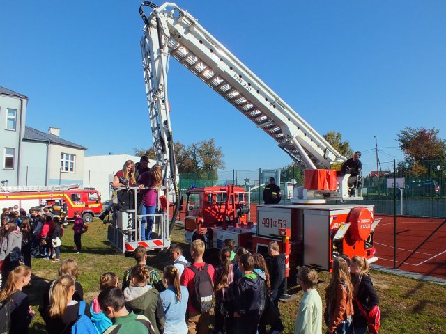 Brd2013